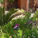 Alojamento de Acomodação e Pequeno-almoço L'oasi Del Sole