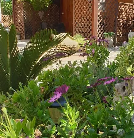 Bed and breakfast L'oasi Del Sole