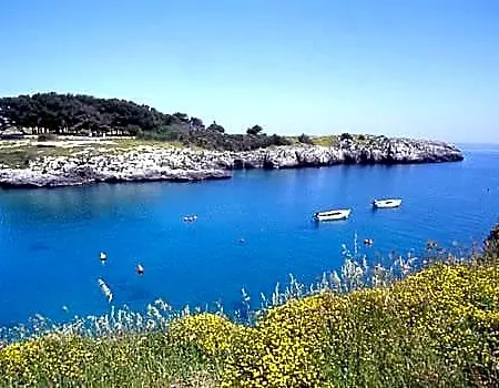 L'oasi Del Sole